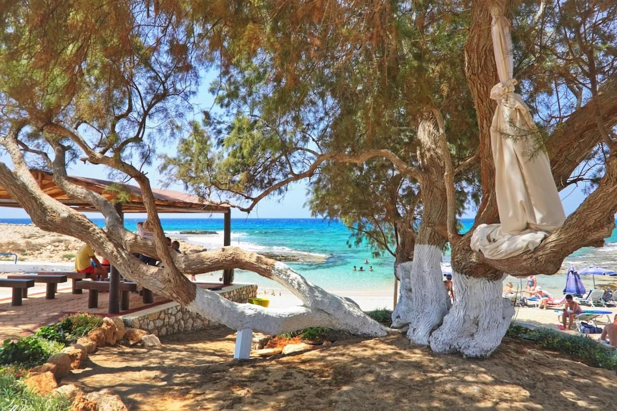 Beachfront Luxury Villa Idania Айя-Напа Екстер'єр фото